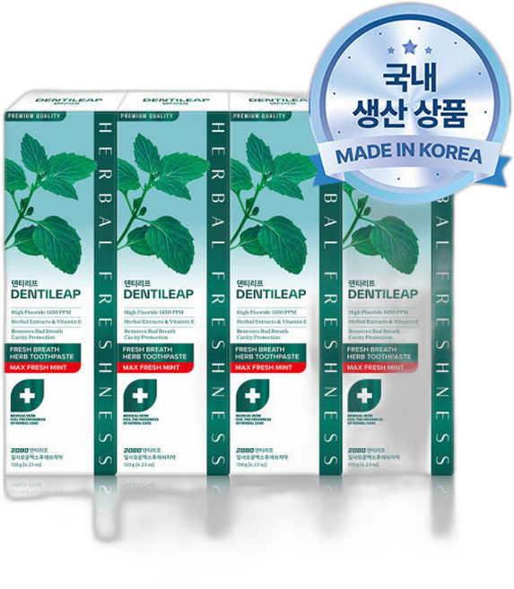 2080 덴티리프 고불소 1450 맥스 후레쉬, 120g, 1개