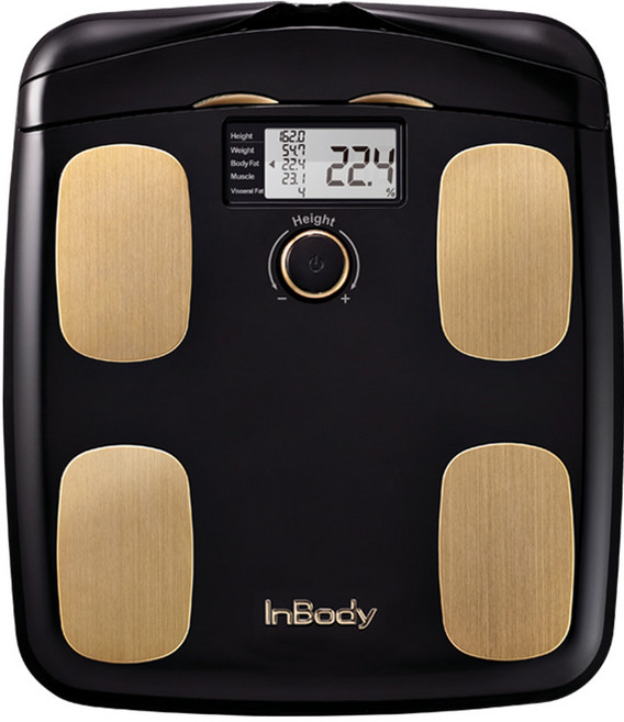 InBody 體脂計 H20N, 黑色, 1個, H20N單機
