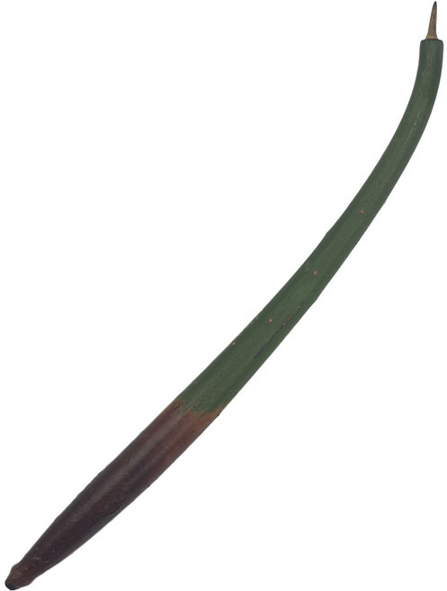 물멍 레드맹그로브 1촉, 1개