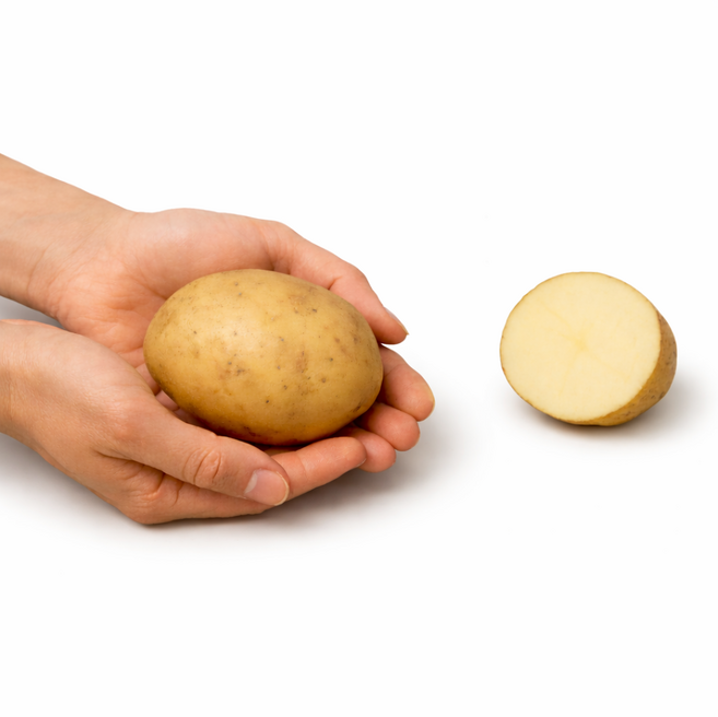 무동감자 10kg 국내산 강원도햇감자, 1개, 10kg (상)