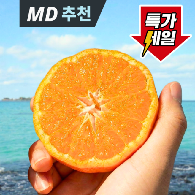 [1주특가]산지직송 달콤함가득 로얄과 카라향, 1박스, 5kg