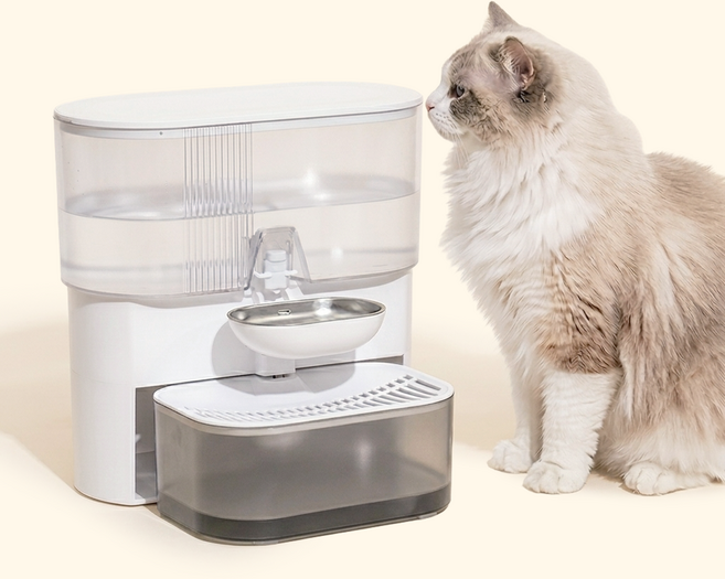 펫케어 강아지 고양이 정수기 무선 플로우 자동 급수기 음수대, 1개, 화이트