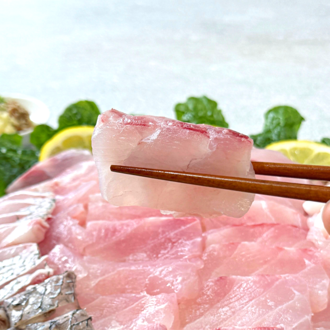 민어회 450g 목포민어 민어부레 민어껍질 민어숙성회 민어지리탕 민어택배 민어전, (민어전감) 자연산 민어 450g, 1개, 민어전감450g