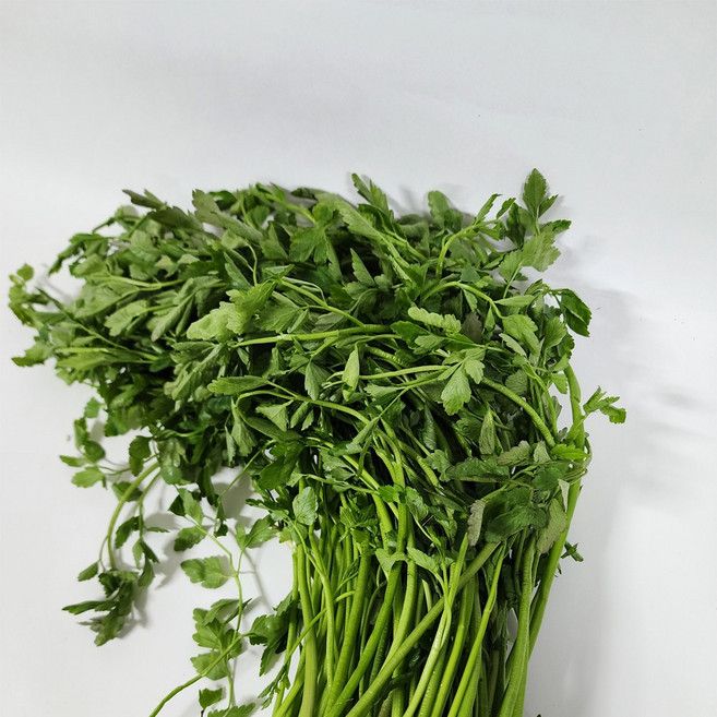 [하나의팜] 당일수확 당일발송 나주 노안 돌미나리 햇미나리, 1박스, 1kg