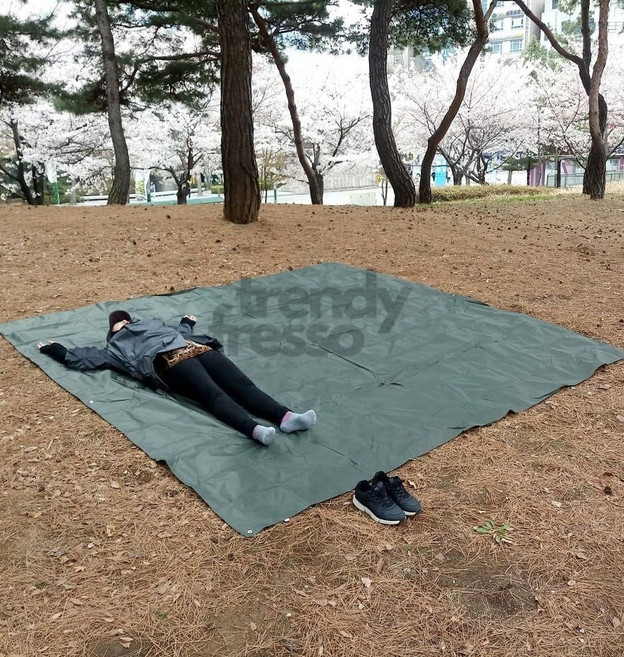 돗자리매트 돗자리특대 T52 특대형 방수매트 3m, 본상품선택