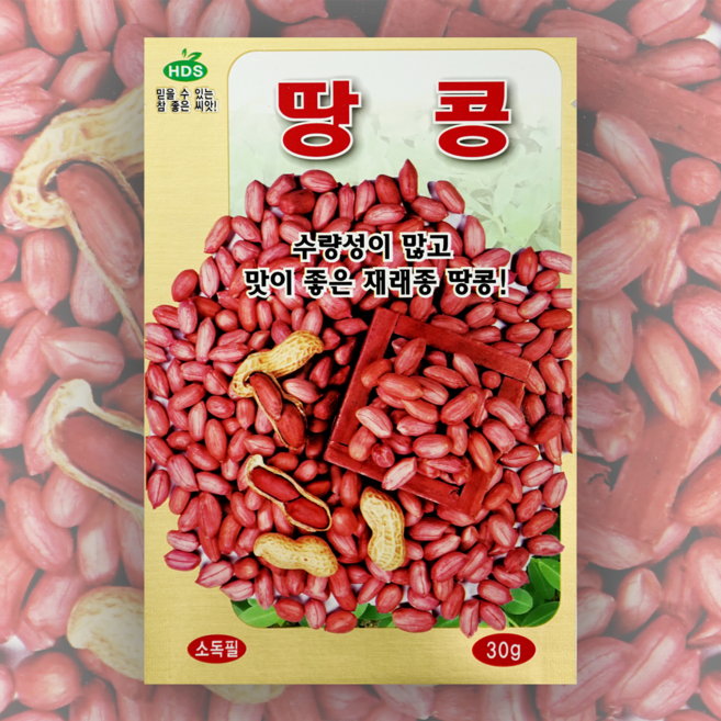 땅콩씨앗 30g 한국대농종묘 땅콩 씨앗 종자 땅콩종자, 1개