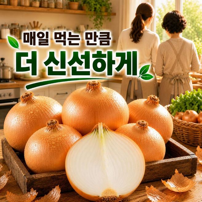 국내산 양파 단단한 양파 국산양파, 1개, 5kg
