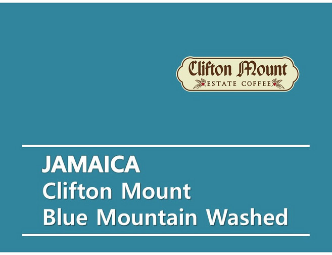 어라운드트레이딩 자메이카 블루마운틴 생두, 1개, 500g