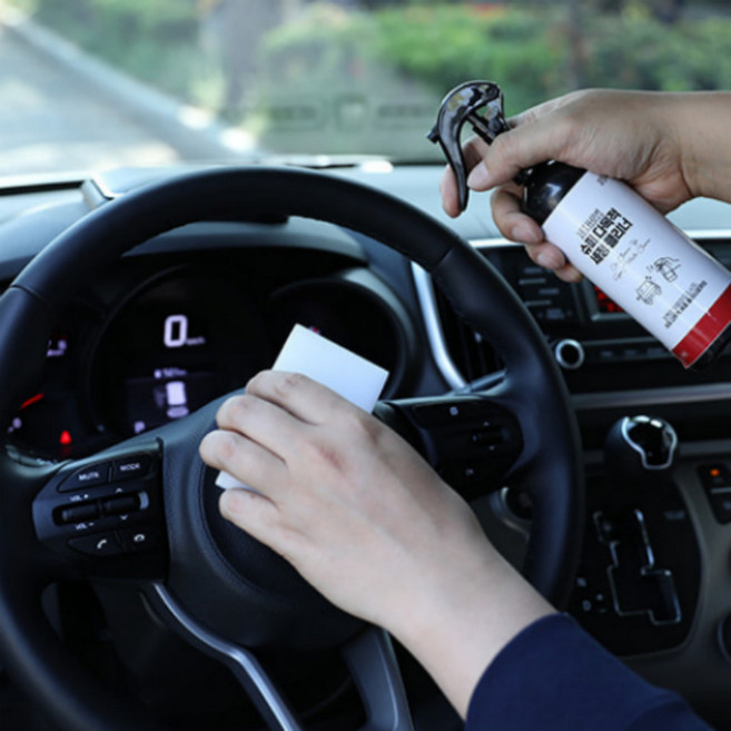 자동차 실내세정제 실내냄새제거 가죽 쇼파 다목적 세정제, 1개, 300ml