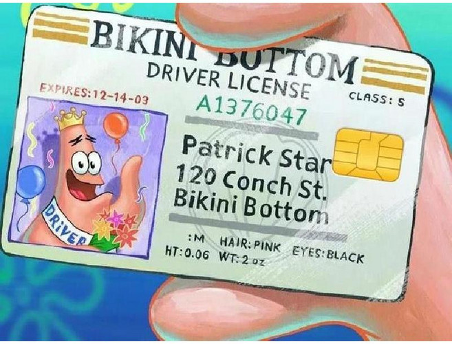 보글보글 네모바지 스폰지밥 신분증 교통 신용 체크 은행 카드 스티커 티머니 징징이 뚱이, Small chip, E
