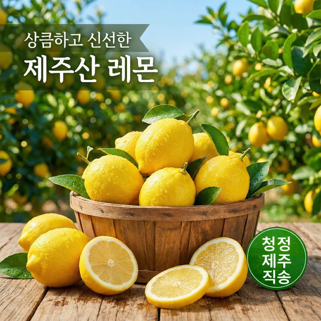 당일수확 산지직송 프리미엄 청정 무농약 제주 레몬 일반과 가정용(못난이) 2kg 3kg 5kg, 1박스, 가정용(못난이) / 5kg