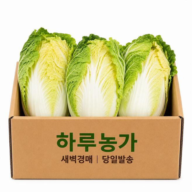 하루농가 새벽경매 당일발송 국내산 알배기 쌈배추 (1통 600g내외), 1kg, 1개