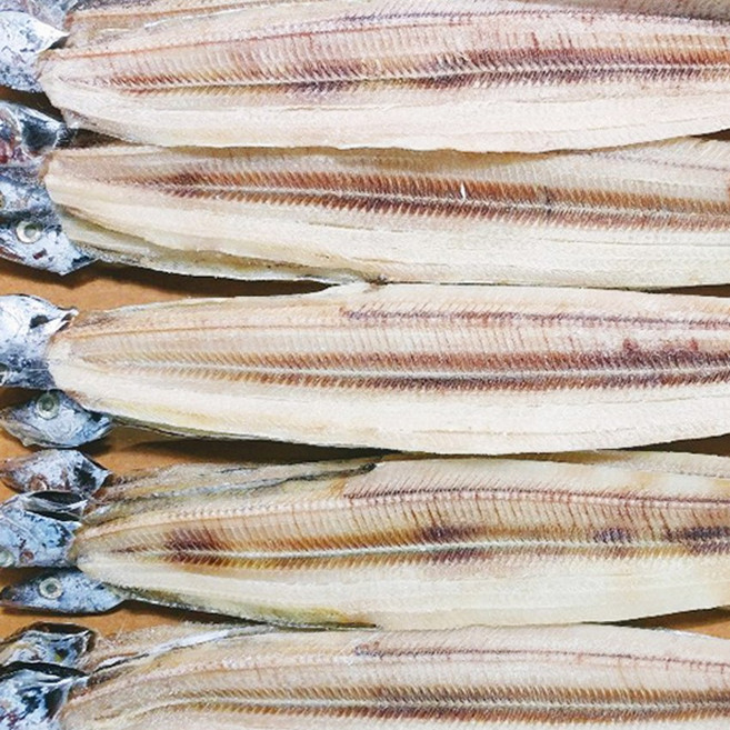 건어물 갈치 새끼 풀치 반건조 풀치, 1박스, 1kg(풀치 9미)