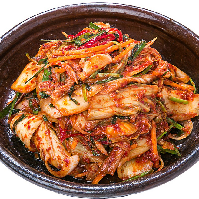 강진모란김치 100% 국산 수제 가정식 전라도 강진 김치 겉절이, 1개, 1kg