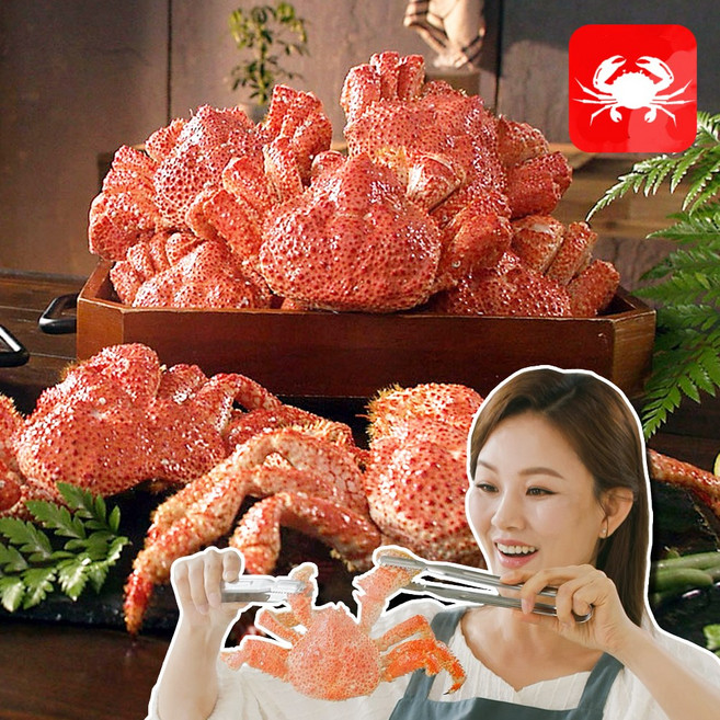 [나눔샵 인기상품] 급속냉동 한농식 자연산 스노우 레드크랩 세트 탱글탱글한 살결 깊은 풍미, 1박스, 한마리당 400g-3마리