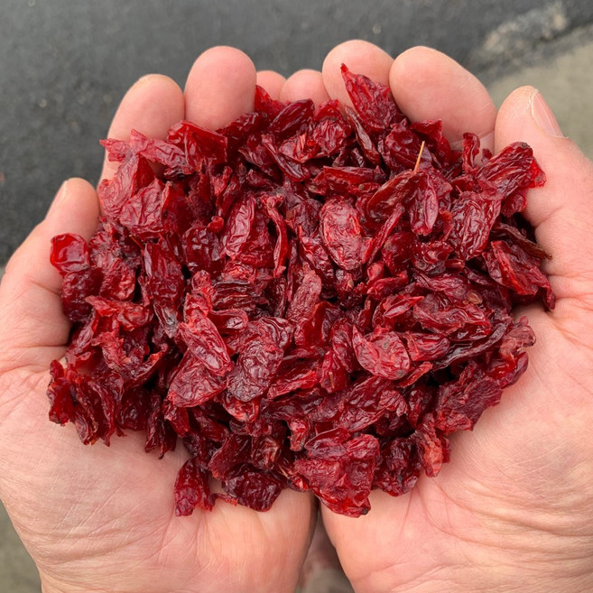 구례 산동 산수유(씨 제거 후 말림) 2025년 말 생산, 1개, 500g(특상)