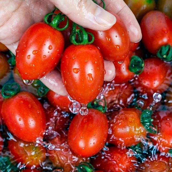 산지직송 친구가보낸과일 대추방울토마토, 1개, 500g