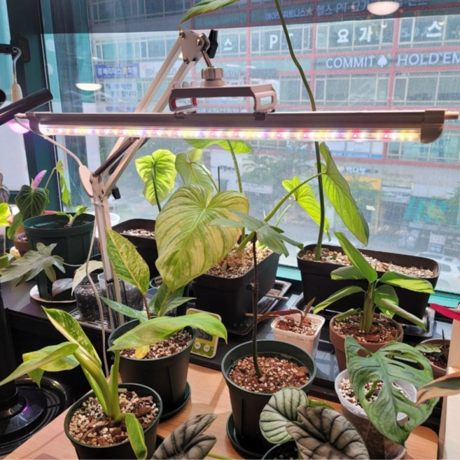 풀나옴 바+뉴 자바라+전원선, (Basic)주백색바1개+뉴자바라+전원선, 1개