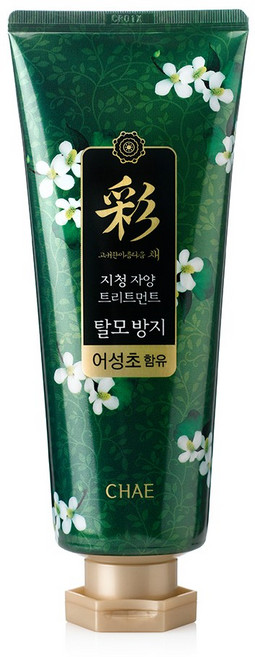 고귀한아름다움 채 지청 자양 어성초 탈모 트리트먼트, 200g, 1개