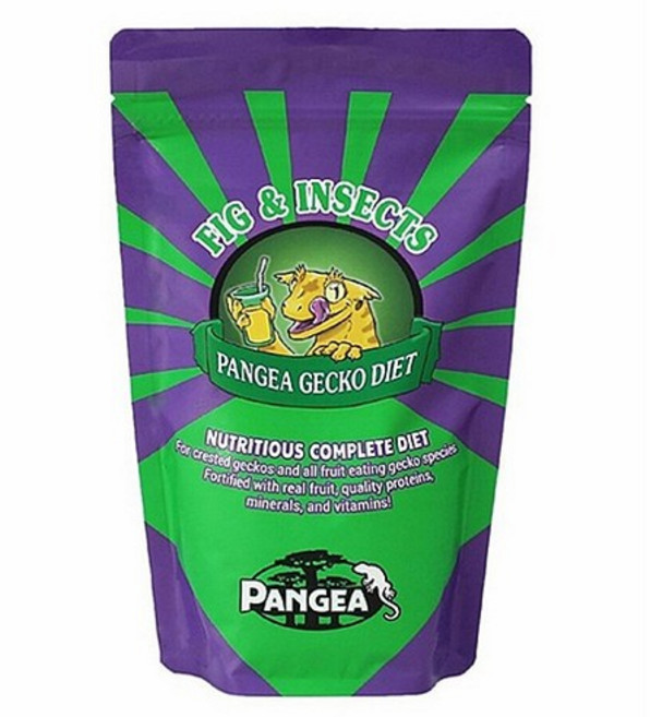 판게아 슈퍼푸드 무화과 인섹트 56g, 1개