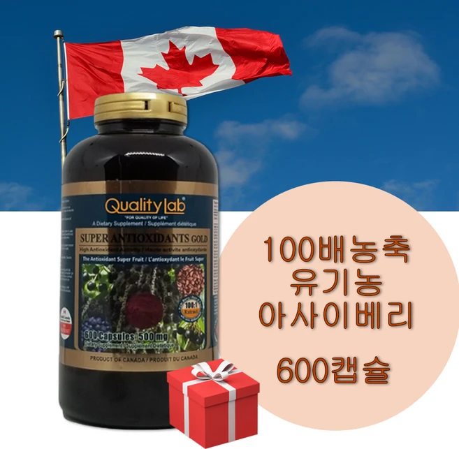 퀄리티랩 100배농축 아사이베리 슈퍼 안티옥시단트 골드 500mg 600캡슐 +사은품 대용량 캐나다, 1개, 500mg 600정, 600정 - 쿠팡