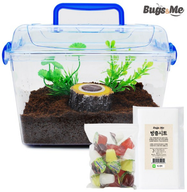 벅스앤미 곤충기르기 고급형 세트, 1세트