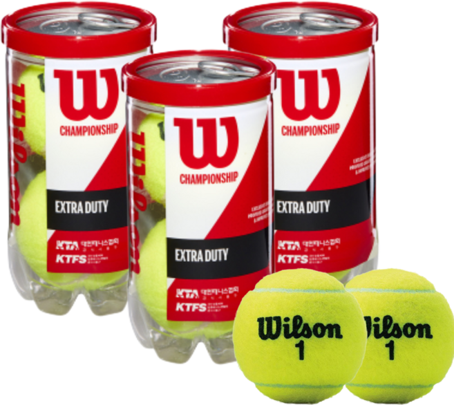 윌슨 챔피언쉽 테니스공 3캔 (6개입) 시합구 캔볼, 옐로우, 3개