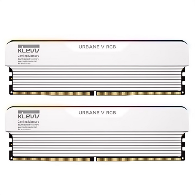 클레브 하이닉스 ADIE 칩 데스크탑 DDR5 메모리 스틱, 1세트, KD5AGUA80-64B300M