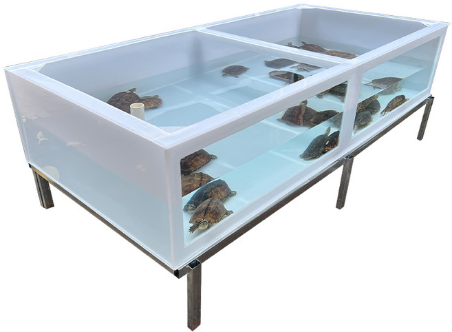 횟집 수조 활어 횟집 업소용 수족관 대형 플라스틱 거북 탱크 투명 고화질 유리 심해 물고기 연못 거북 상자 생태 탱크 물 거북 반 물 거북 사육 상자, V.필터 탱크의 가격 차이를 높이고 단발이 될 수 없습, 1개