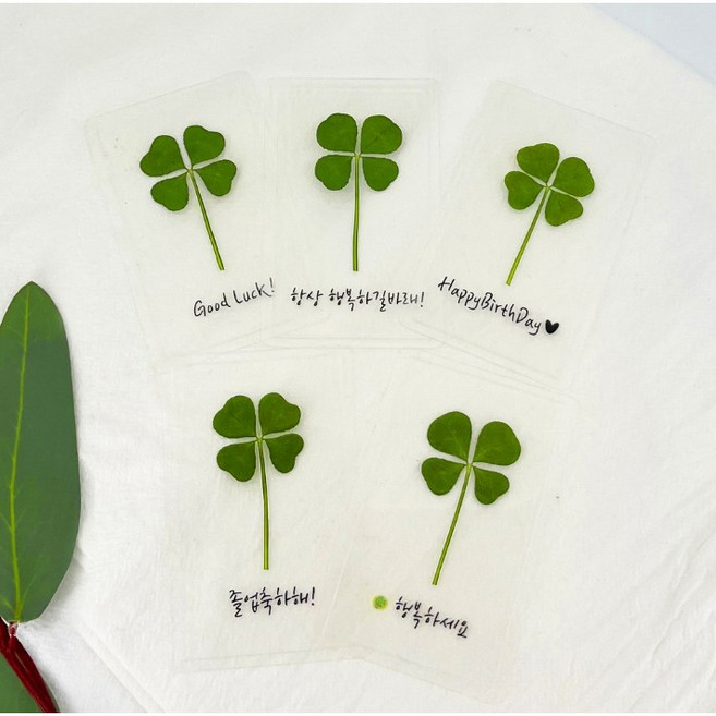 생생정보 푸드클로버 네잎클로버 투명 메세지 코팅카드 1장 행운부적, 봉투포함(황금봉투), 모든것이잘될거야