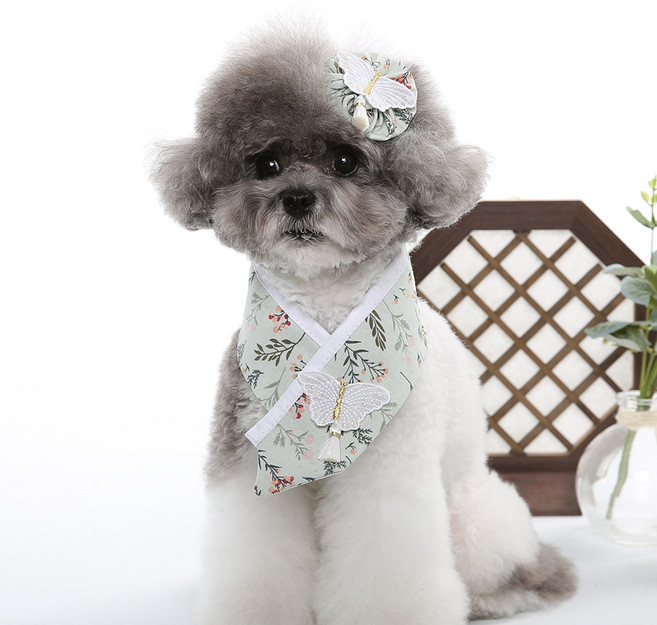 강아지 고양이용 설날 설빔 추석 한복 목도리 스카프 단아 한복 케이프, 1개, 옥색