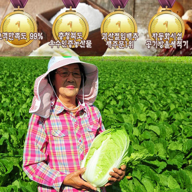 [1월 도착가능]무르지않고 맛있는 괴산절임배추 20k, 20kg, 1개, 배송요청사항에 희망도착일 기재