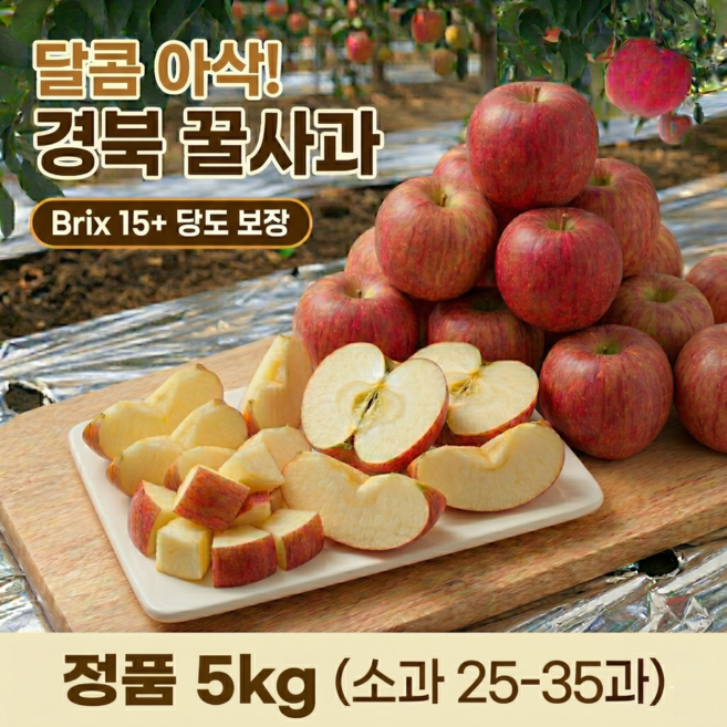 [냥늉마켓] 아삭상큼 정품 부사사과 가정용, 1박스, 5kg 소과(28-33과)