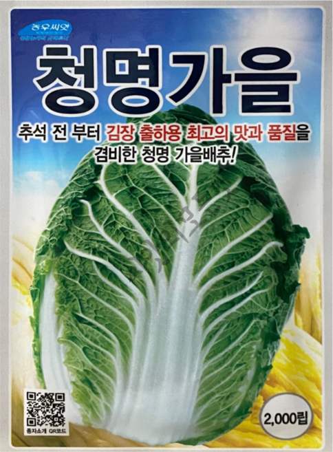 청명가을 배추씨앗 2000립 추석김장배추종자, 1개