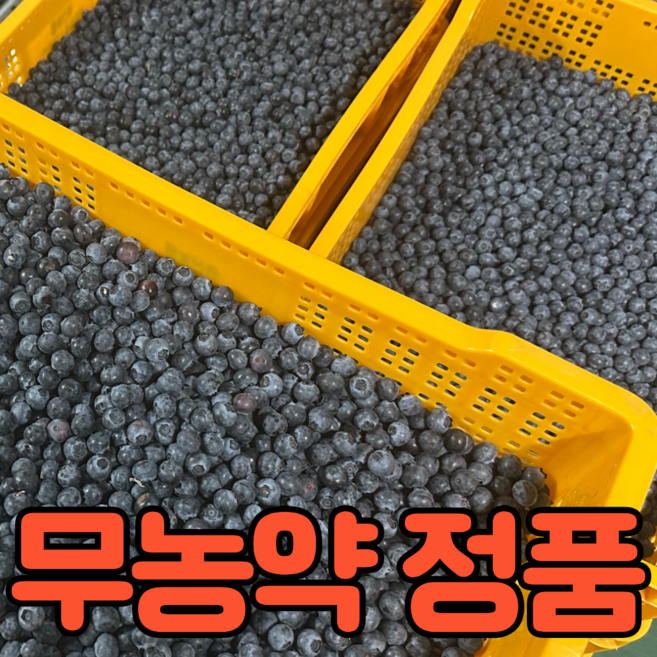 정품 특품 무농약 생 블루베리, 1박스, 200g (14-16mm)