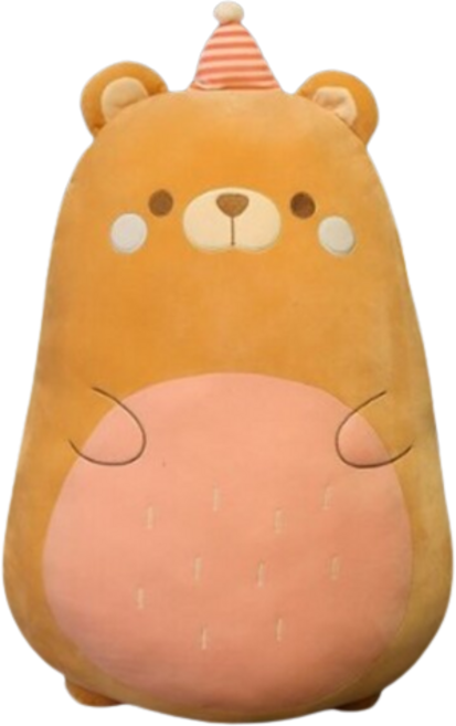 네이처타임즈 동글 캐릭터 인형 곰, 혼합색상, 60cm, 1개