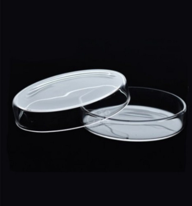 90mm유리 페트리디쉬 실험용 샬레 2개 초등교과실험
