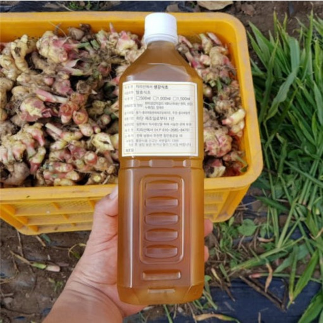 [지리산에서] 만든 천연발효 생강식초 생강현미식초 (1000mL), 1개, 1L