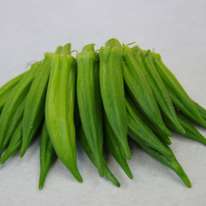 [아삽야콘농원] 생오크라 3kg 특품 산지직송 배송 오크라영양성분 오크라요리 okra, 1개