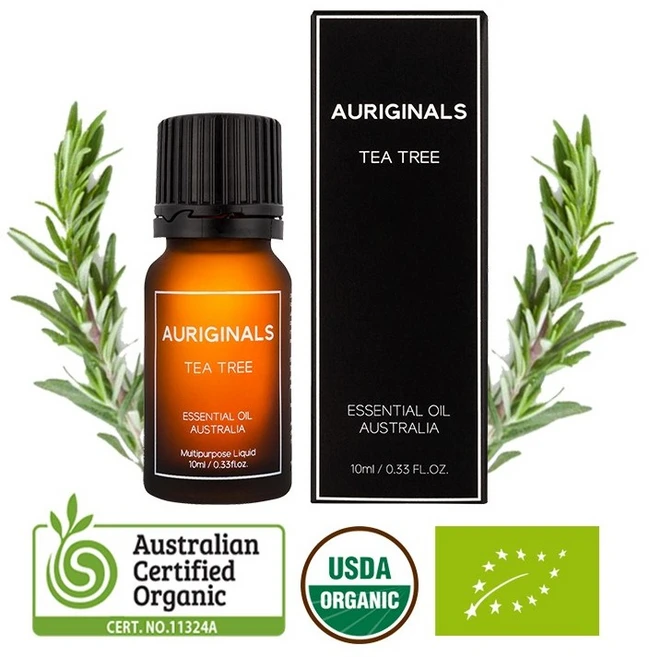 호주 오리지날스 유기농 티트리 에센셜 아로마 페이스 오일, 3개, 10ml - 쿠팡