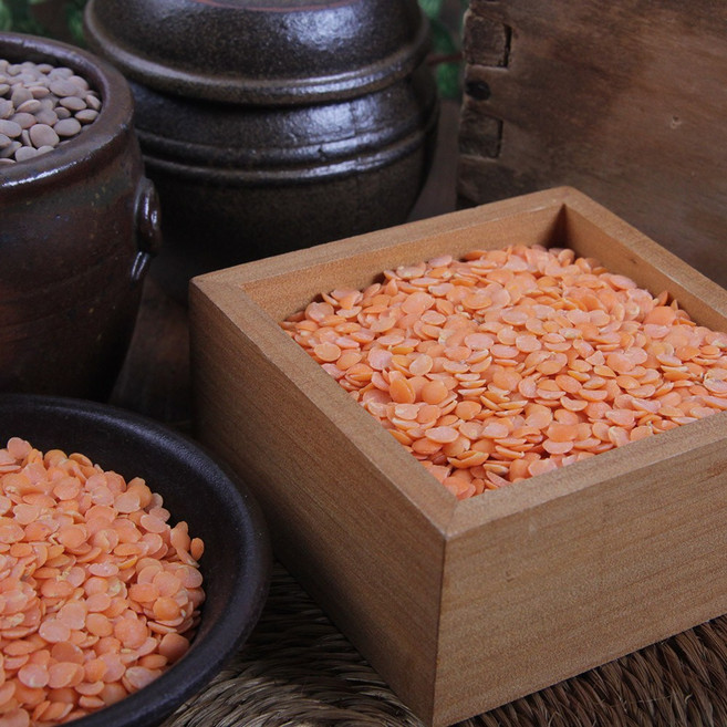 원시인농산 렌틸콩 1kg 탈피렌틸콩, 1개