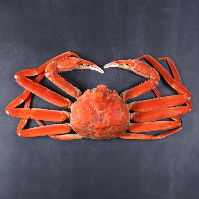 [대게바다] +홍게증정+대포항 No.1 프리미엄 A급 활대게 2kg~, 자숙손질2kg, 추가없음, 1개