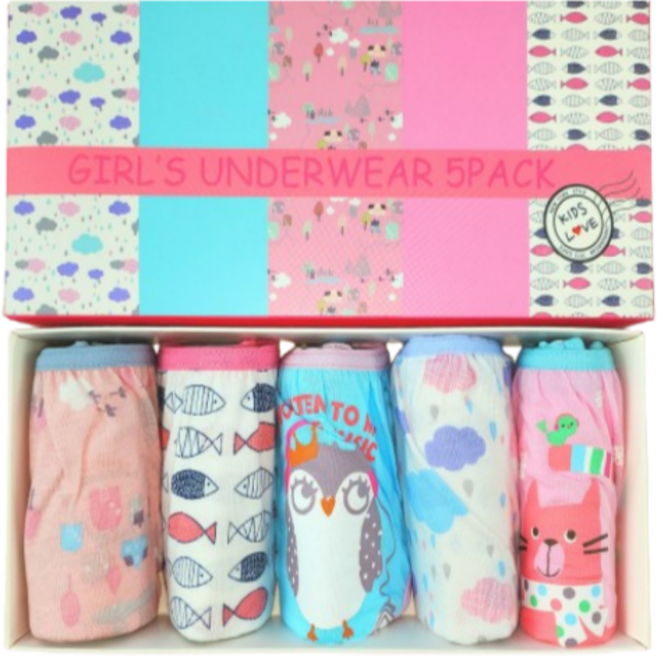 여아용 순면 풀하우스 삼각팬티 5종 세트