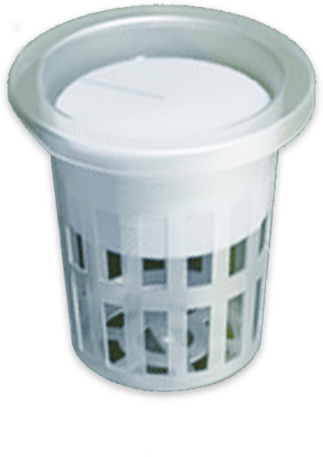 수경재배 포트 14종 스펀지 식물 화분 플라스틱 씨앗 꽃 10개세트, 11호(10개)