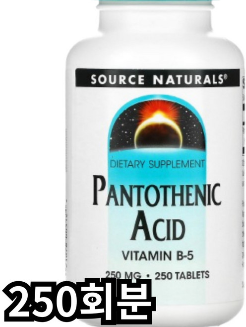 뉴트리코스트 판토세닉 애시드 비타민 B5 500mg, 250정, 1개