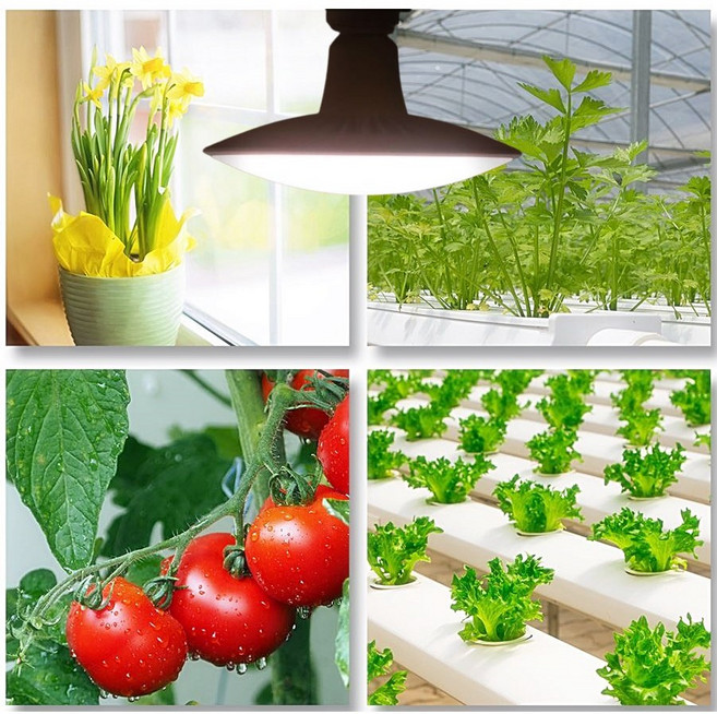 올시즌팜 국내생산 LED 식물등 보광등 30W, 1개, 심플 장스탠드 [블랙]