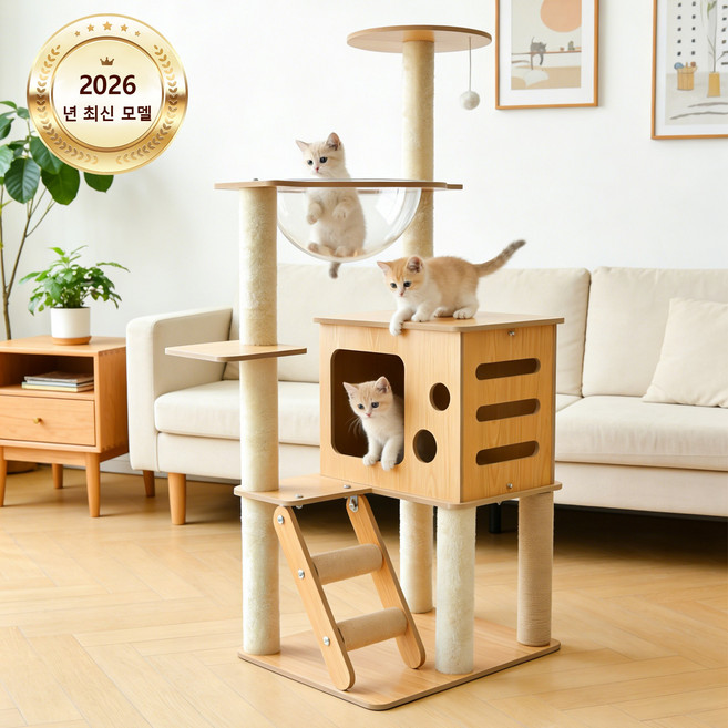 스페이스 캡슐 & 스크래처 기둥 프리미엄 캣타워 원목 소형 캣하우스 튼튼하고 조립 간편 실내 고양이 놀이용, 1개, 원목색