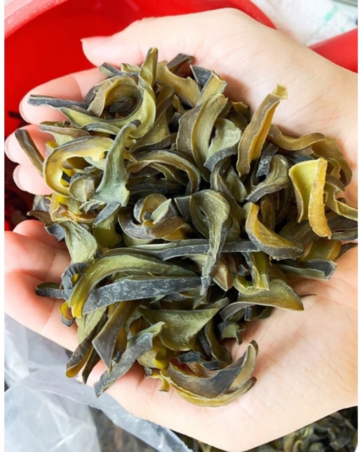 振新商行 海帶頭 海螺肉風味 純素, 1個