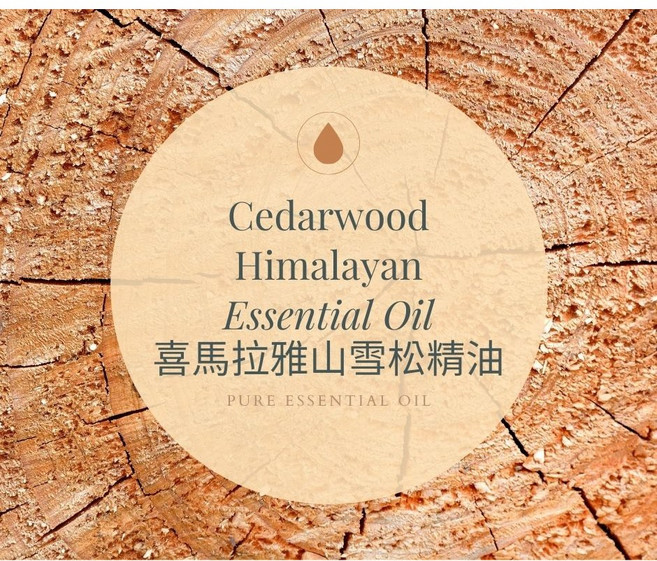MW精油工坊 喜馬拉雅雪松精油 Cedarwood Essential Oil, 10g, 1個, 10ml