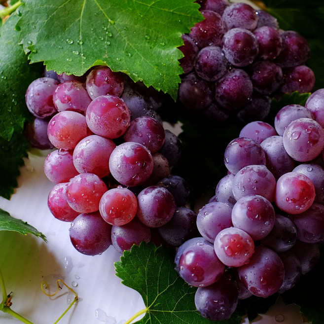 [당도보장] 포도 캔디하트 솜사탕 씨없는 초고당도 꿀포도 디아머스, 1개, 1kg